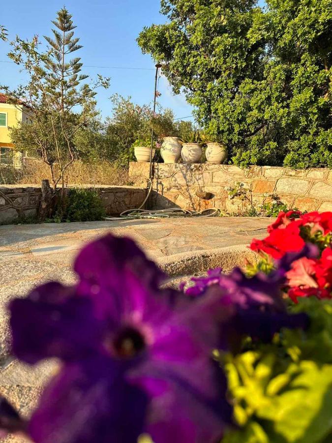 Σελήνη Διαμέρισμα Kotronion  Εξωτερικό φωτογραφία